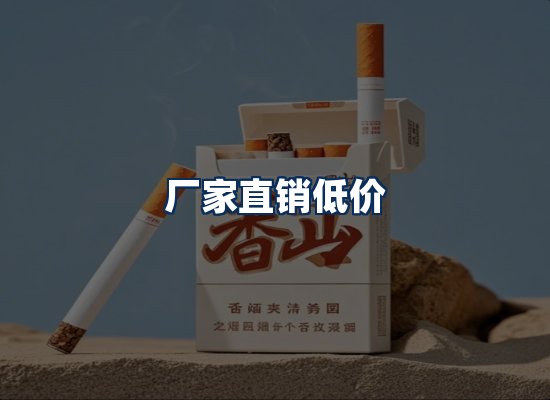 专业团队办公环境